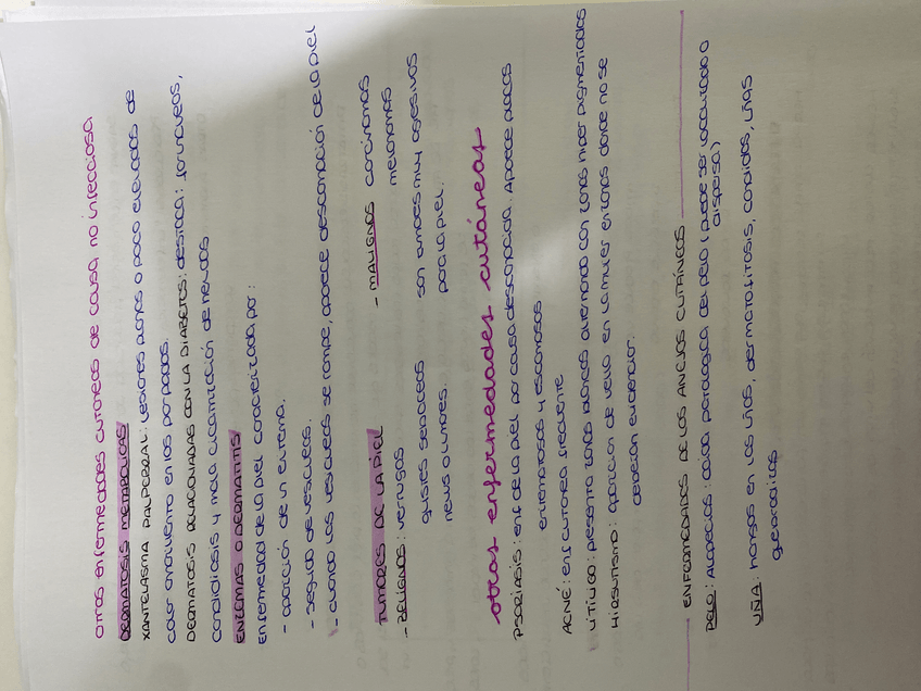 Miniatura del documento image.jpg