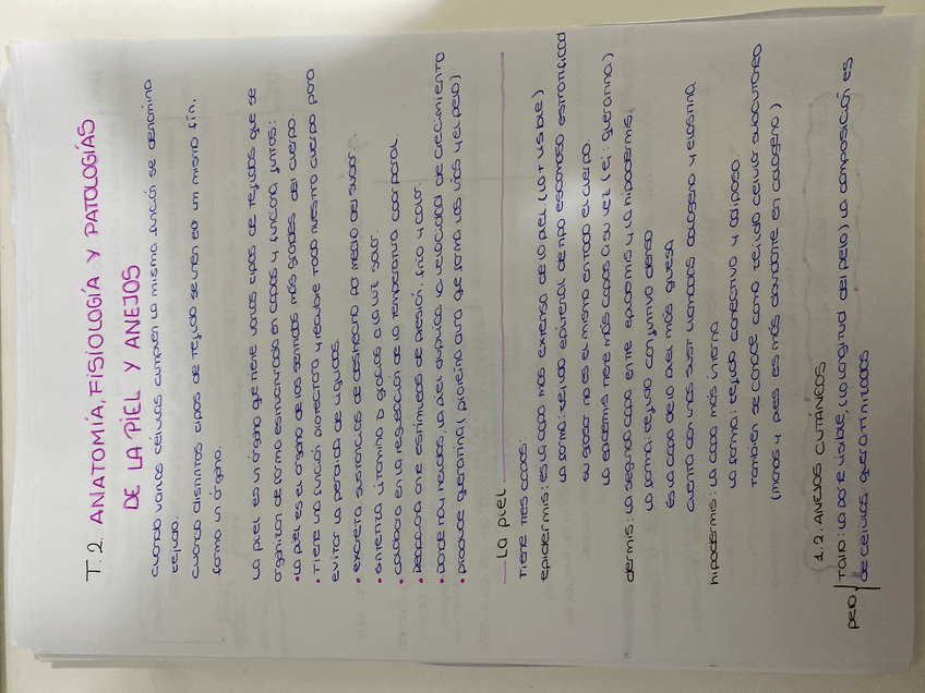 Miniatura del documento image.jpg