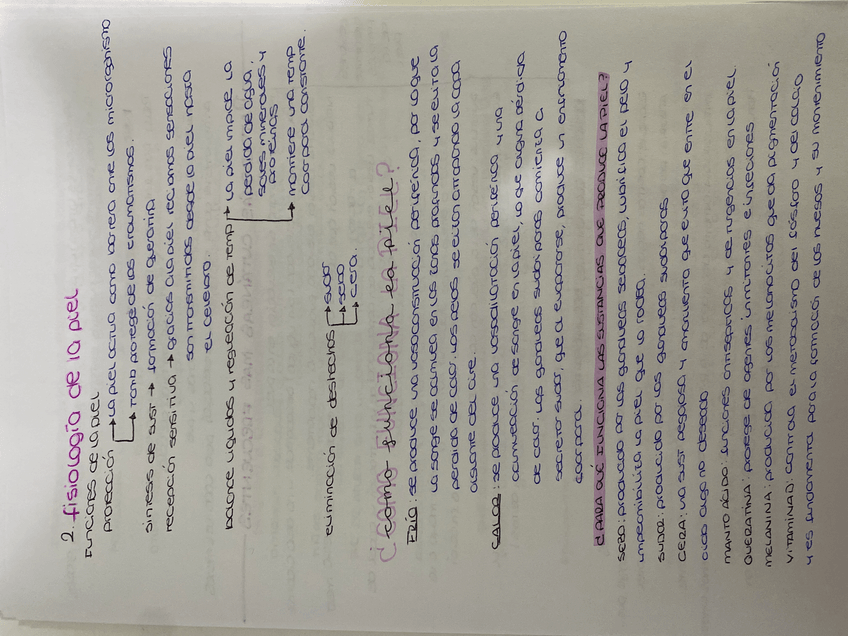 Miniatura del documento image.jpg