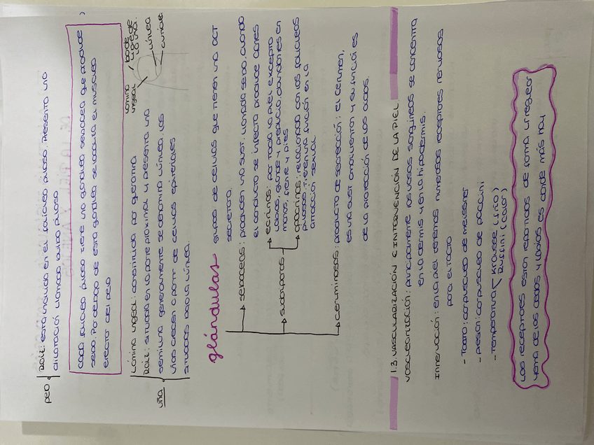 Miniatura del documento image.jpg