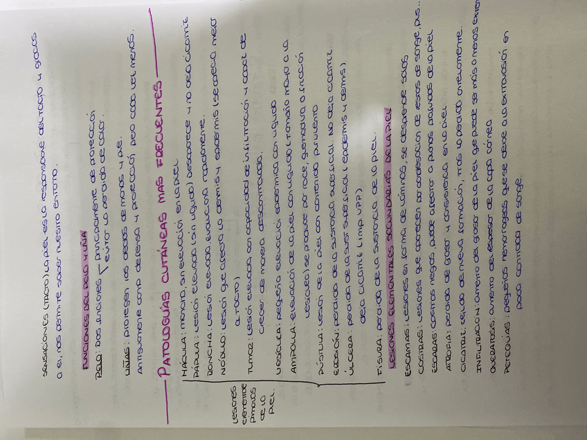 Miniatura del documento image.jpg