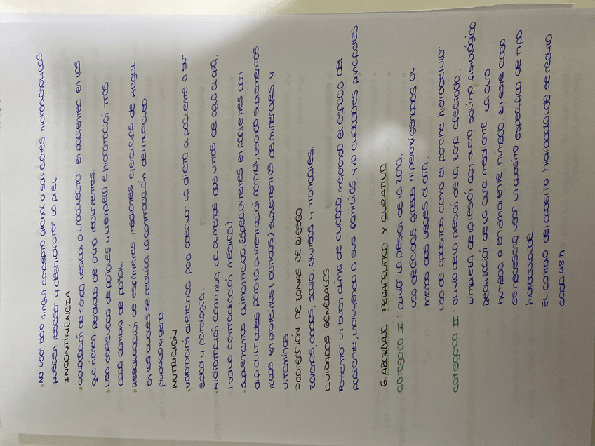 Miniatura del documento image.jpg