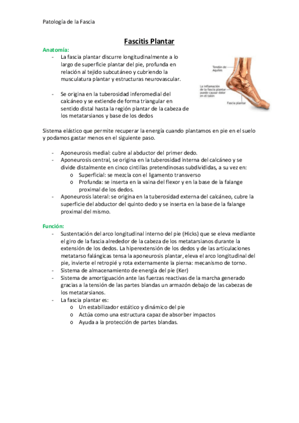 Miniatura del documento T1 - Patologia de la Fascia.pdf