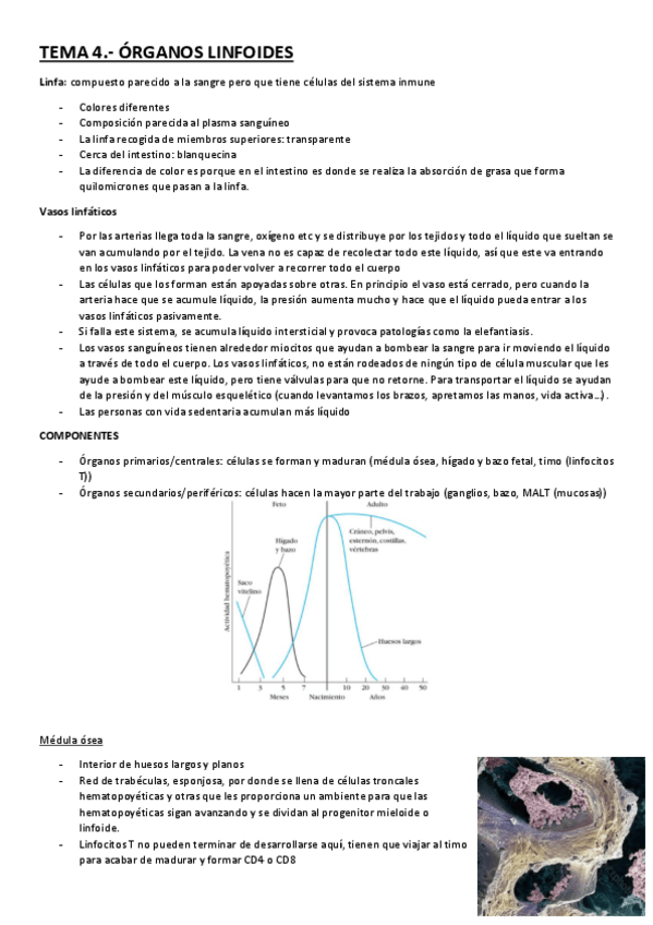 Miniatura del documento TEMA-4.pdf