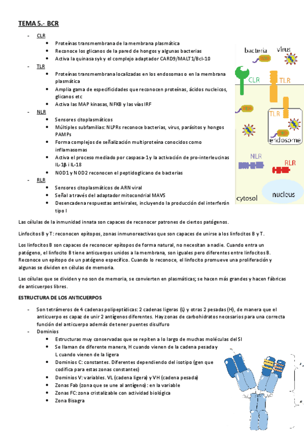 Miniatura del documento TEMA-5.pdf