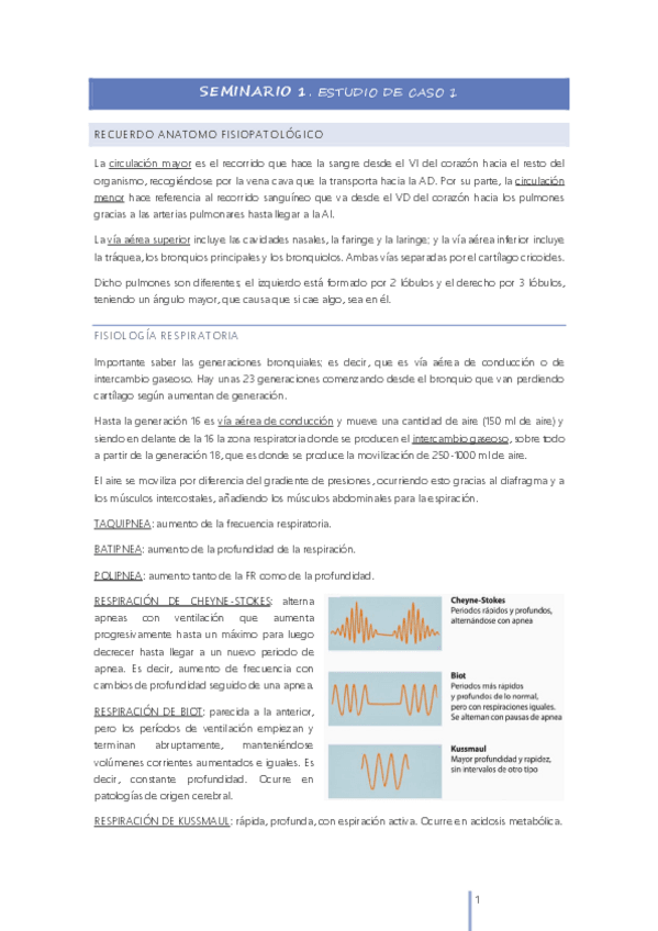 Miniatura del documento SI-AGUDOS-SEMINARIOS.pdf