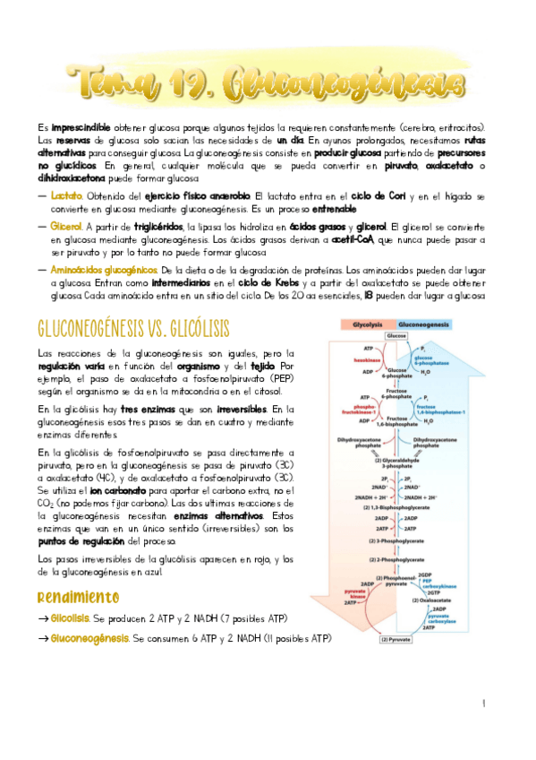 Miniatura del documento Tema-19.pdf
