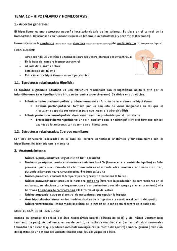 Miniatura del documento TEMA-12-Hipotalamo-y-homeostasis.pdf