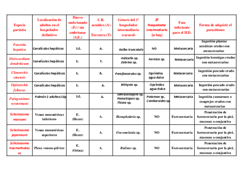 Miniatura del documento Cuadro-digenidos.pdf