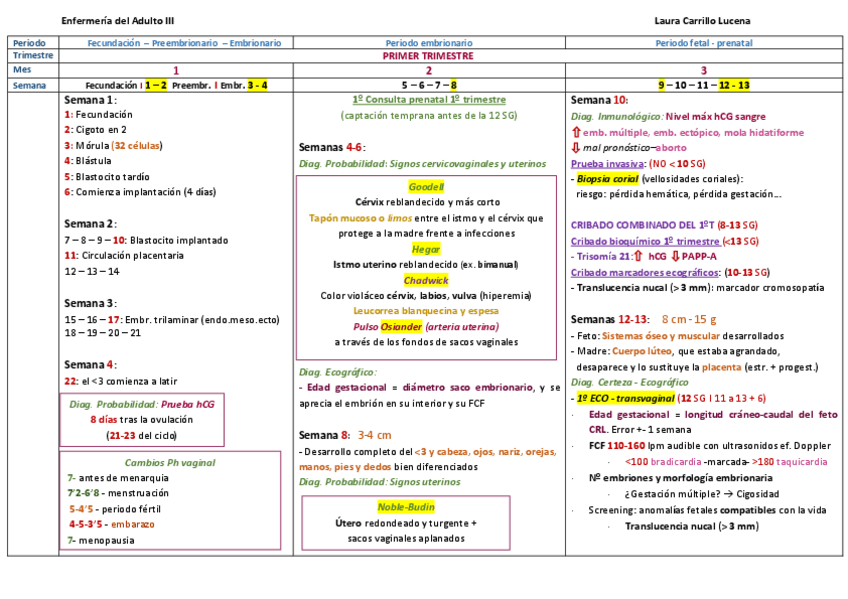 Miniatura del documento ESQUEMA-ADULTO-III-MATERNIDAD.pdf