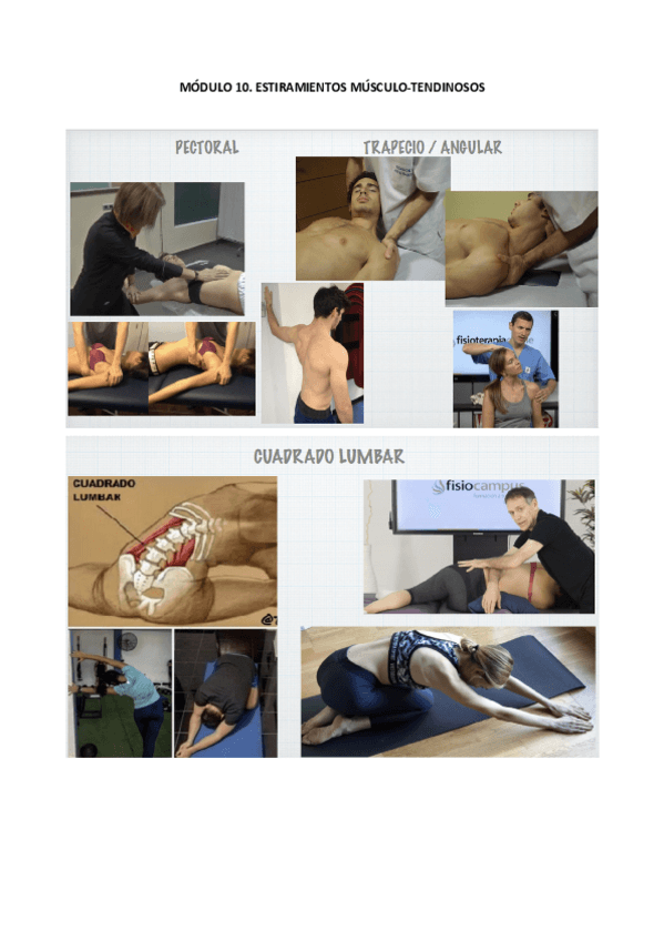 Miniatura del documento MODULO-10.pdf