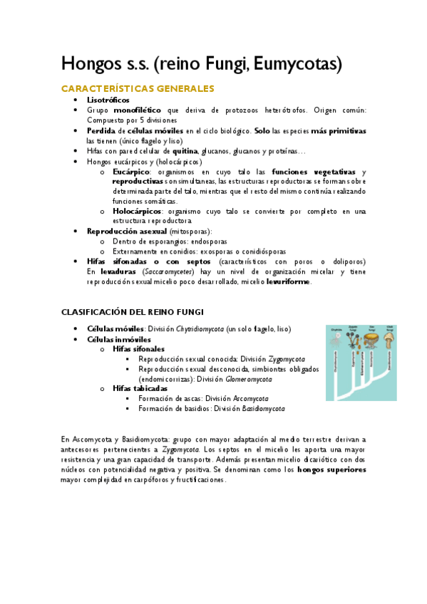 Miniatura del documento 12-15-Hongos-ss.pdf
