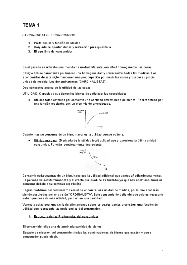 Miniatura del documento TEMA-1.pdf