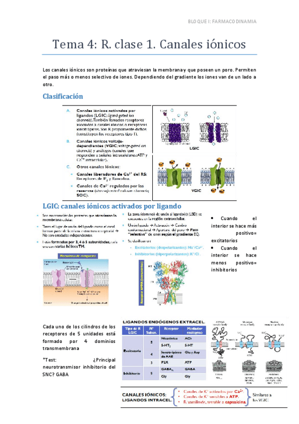 Miniatura del documento Tema 4 canales iónicos.pdf