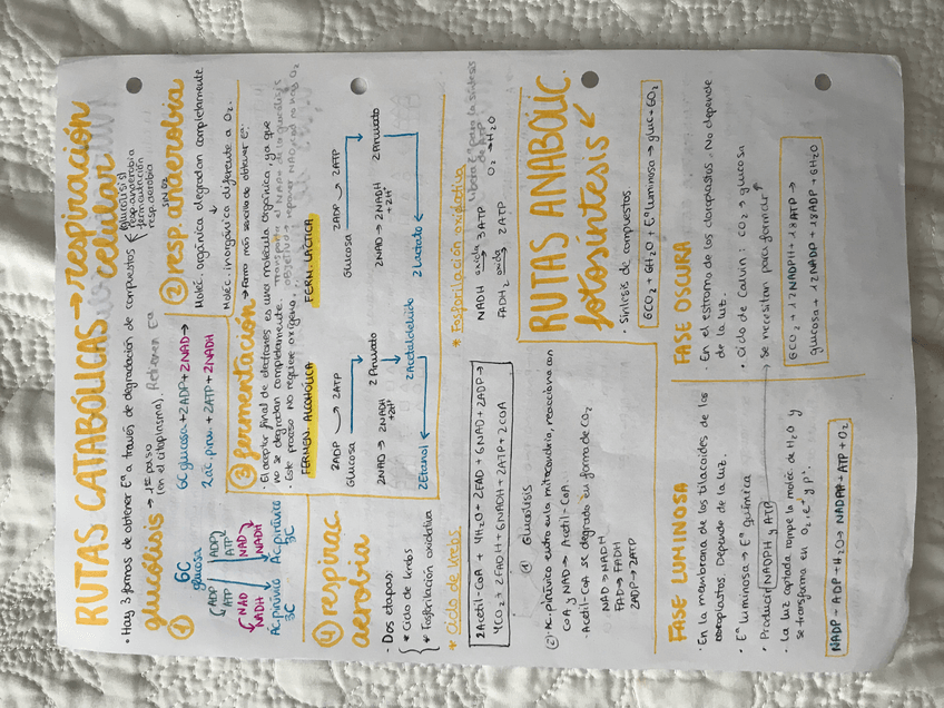 Miniatura del documento 60DCDB6F-8FF1-4265-90E7-B2F01A15EC05.jpg