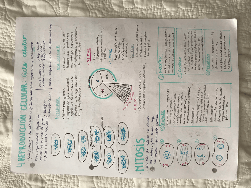 Miniatura del documento 204EC323-DB38-4D67-BB64-AB2A3B6F2CC1.jpg