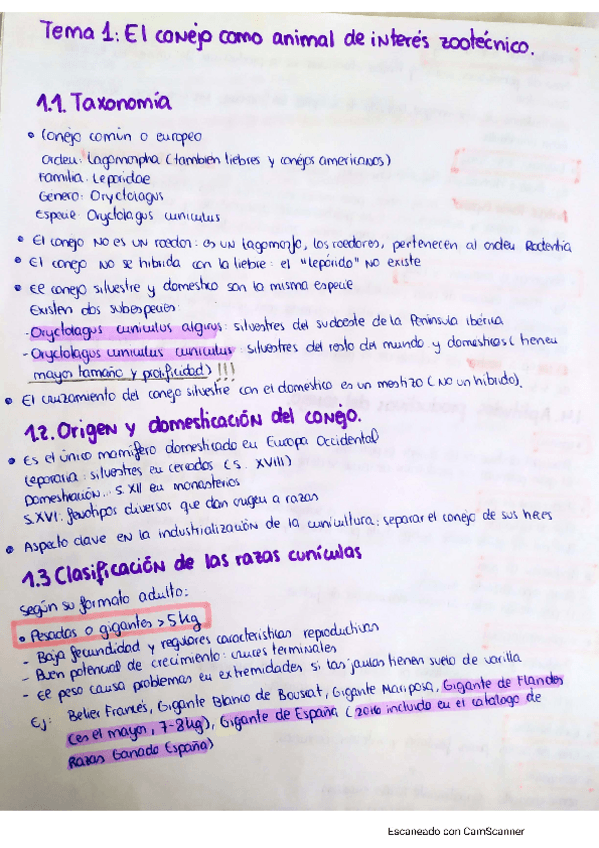 Miniatura del documento TEMAS-1-7-RESUMIDOS.pdf