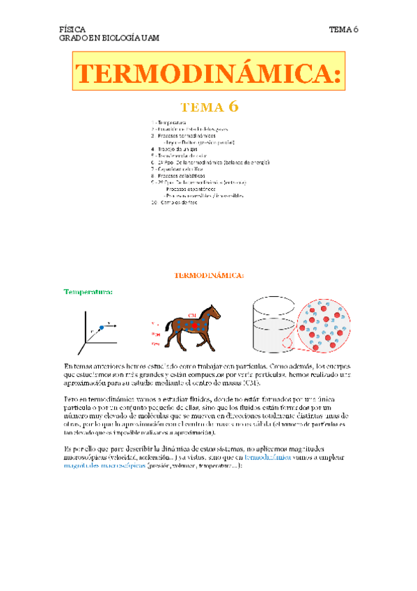 Miniatura del documento FISICA-6-TERMODINAMICA.pdf