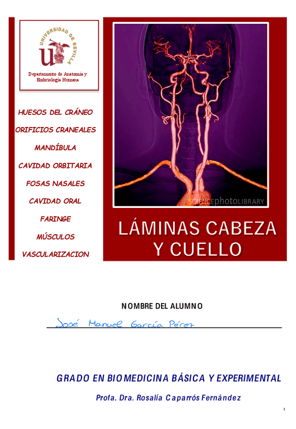 Miniatura del documento Laminas-4-Cabeza-y-Cuello.pdf