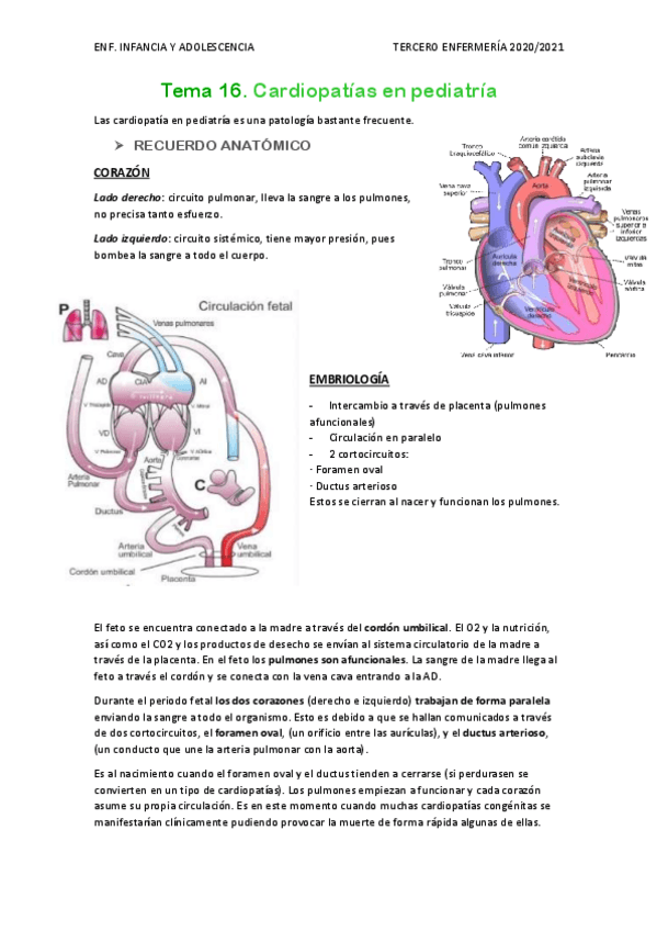 Miniatura del documento Tema-16.pdf