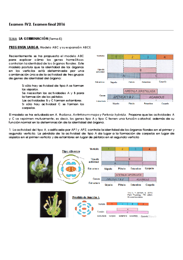 Miniatura del documento Examenes-finales-FV2.pdf
