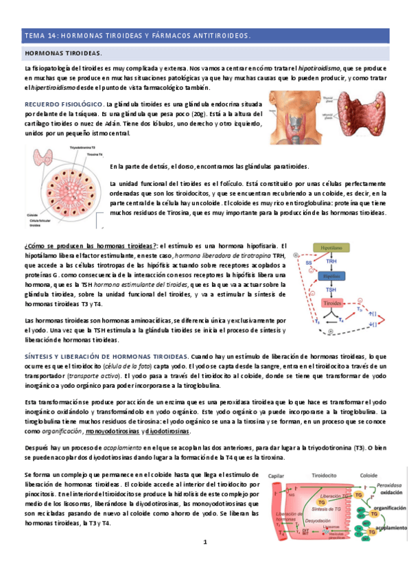 Miniatura del documento Tema-14.pdf
