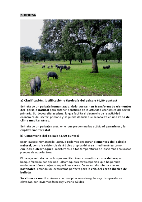 Miniatura del documento DEHESA