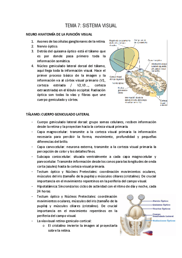 Miniatura del documento fisio-tema-7.pdf