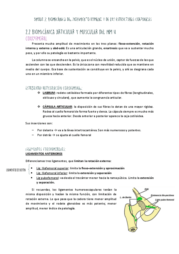 Miniatura del documento Unidad-II-MMII-Coxofemoral.pdf