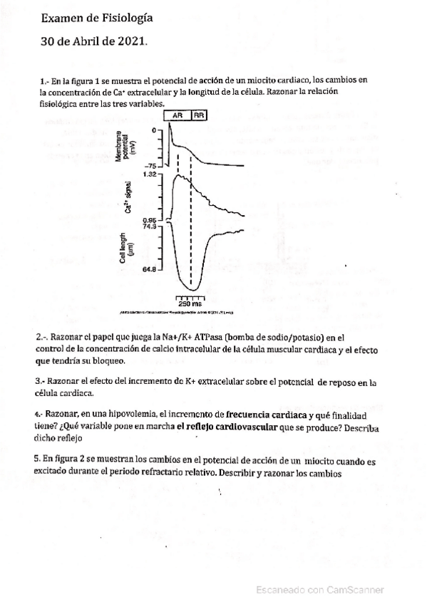 Miniatura del documento examen-cardiorrespiratorio-luis.pdf