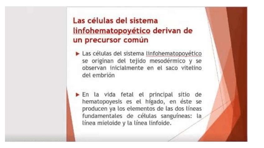 Miniatura del documento EritrocitoClasificacion.pdf