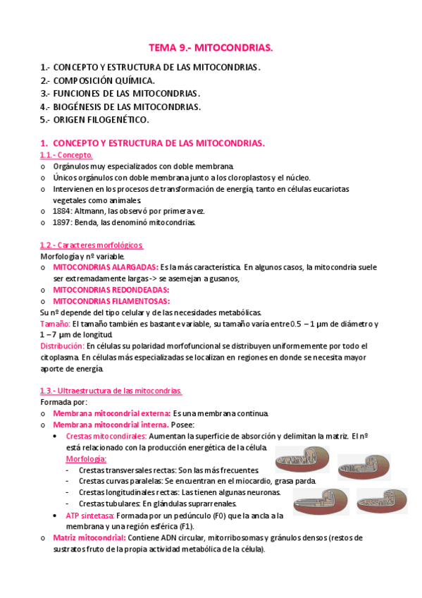 Miniatura del documento APUNTES-T.pdf