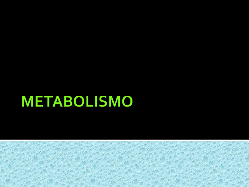 Miniatura del documento Metabolismo.ppt