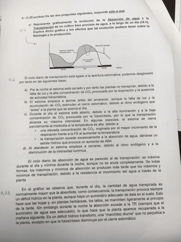 Miniatura del documento examenes.pdf