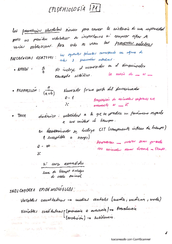 Miniatura del documento CamScanner-05-05-2021-12.pdf
