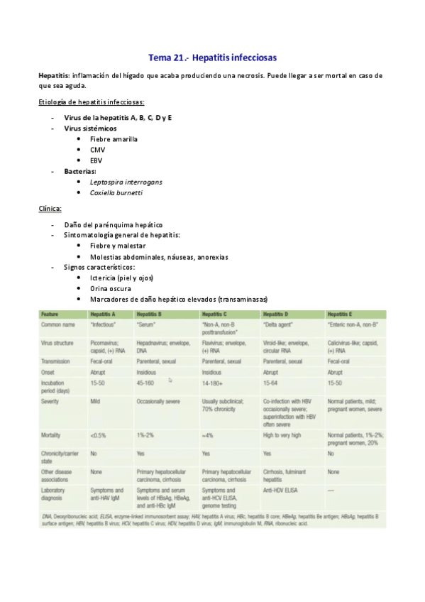 Miniatura del documento T.pdf