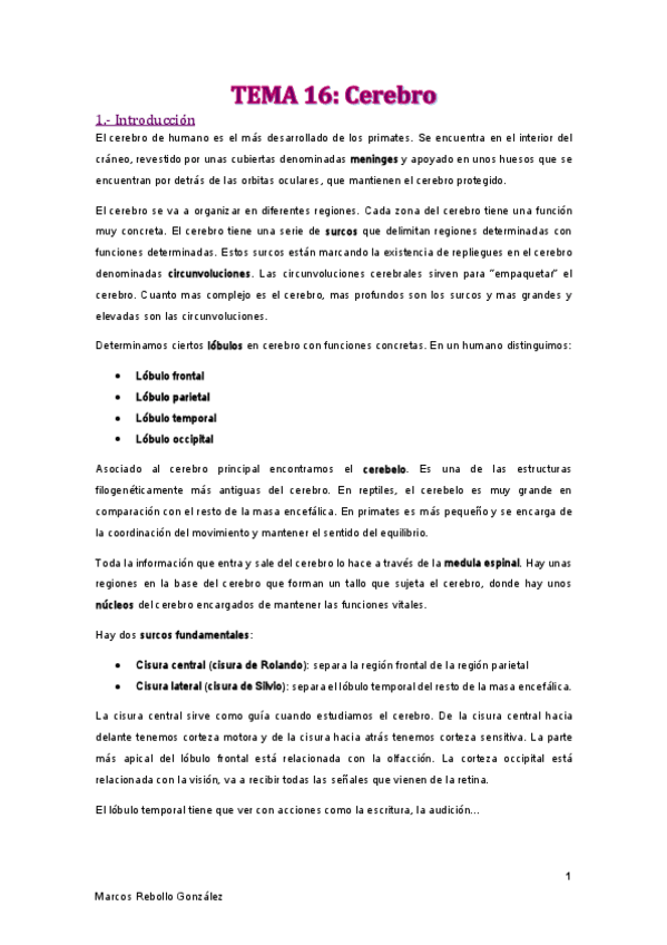 Miniatura del documento TEMA-16.pdf