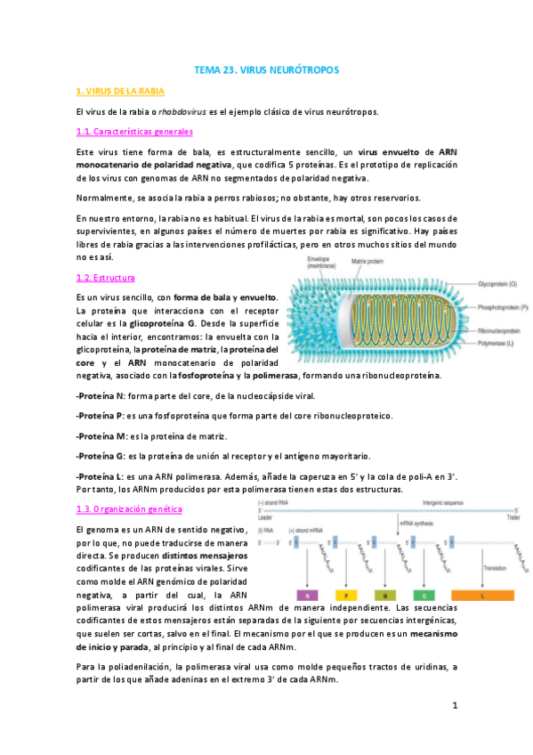 Miniatura del documento TEMA-23.pdf