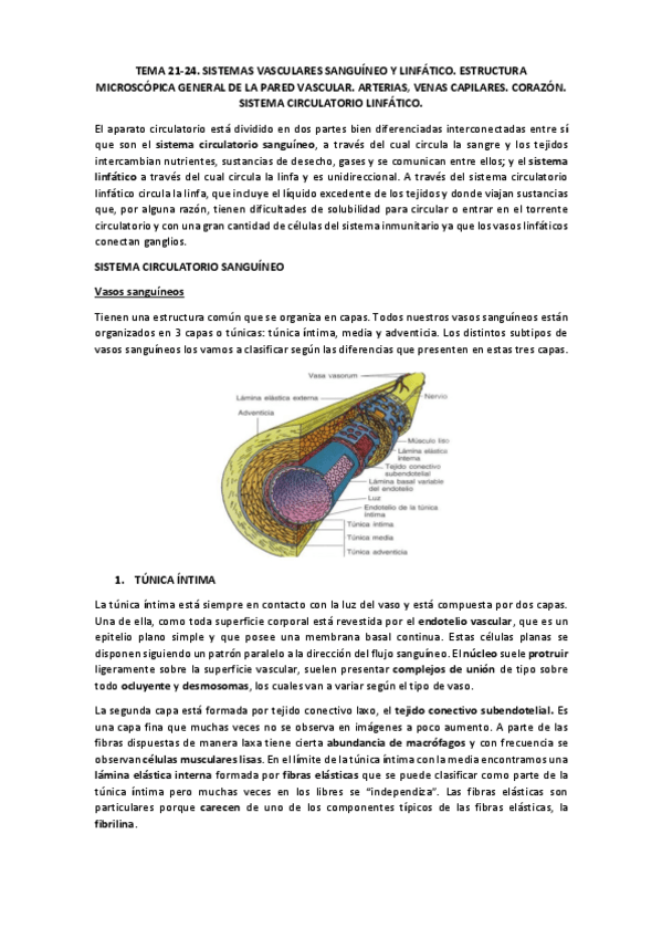 Miniatura del documento TEMA 21-24.pdf