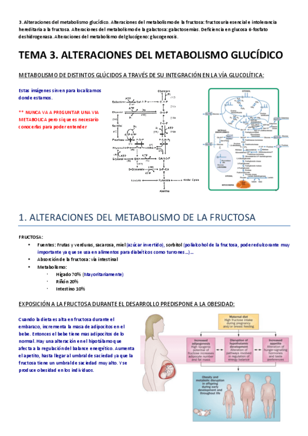 Miniatura del documento _TEMA 3.pdf