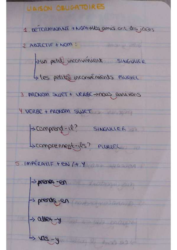 Miniatura del documento LIAISONS-OBLIGATOIRES.pdf