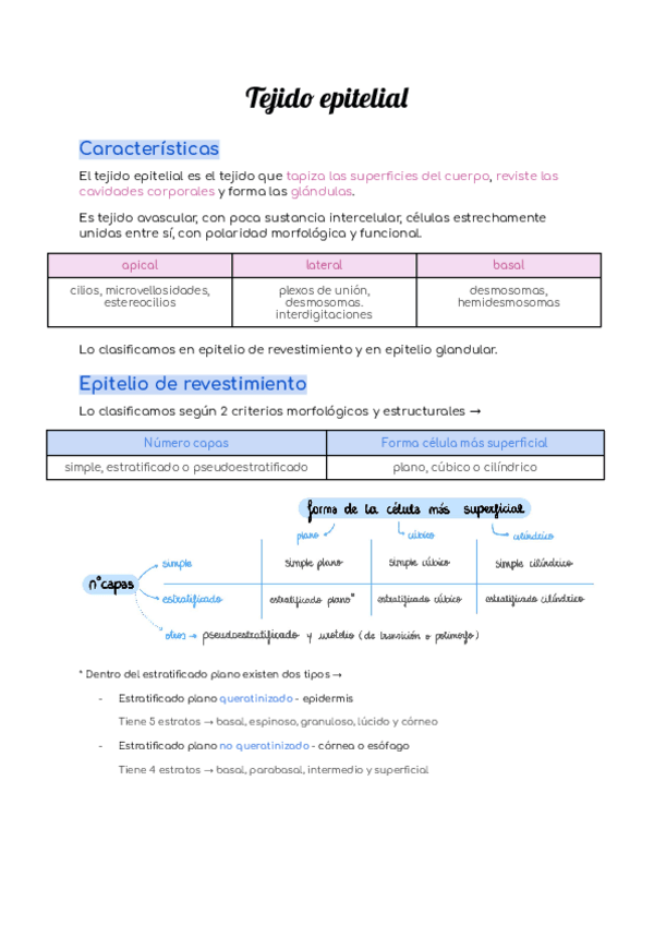 Miniatura del documento Resumen-histologia.pdf
