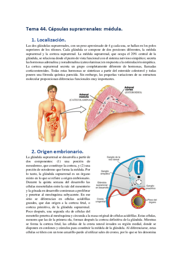 Miniatura del documento Tema-44.pdf