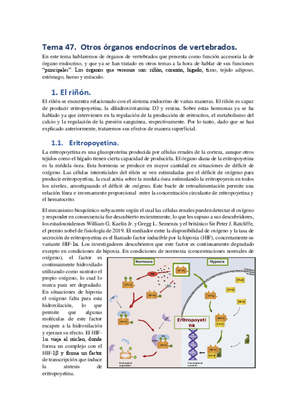 Miniatura del documento Tema-47.pdf