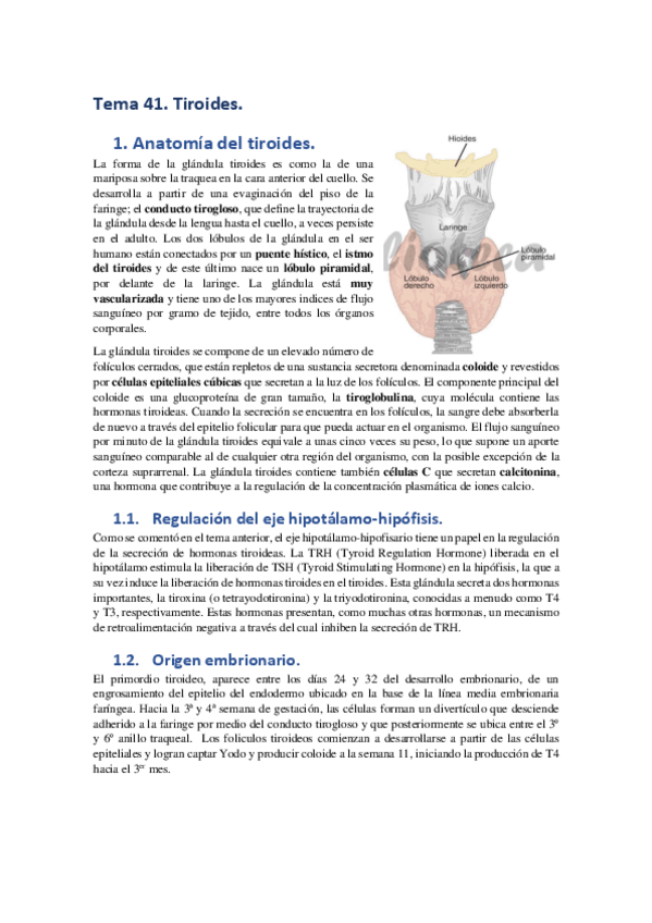 Miniatura del documento Tema-41.pdf