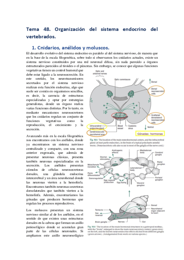 Miniatura del documento Tema-48.pdf