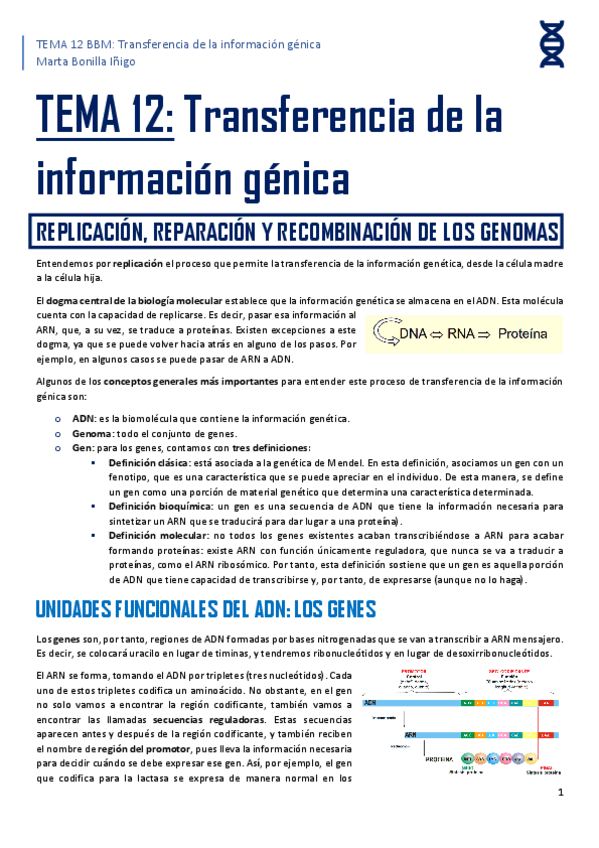 Miniatura del documento resumen-tema-12-BBM.pdf
