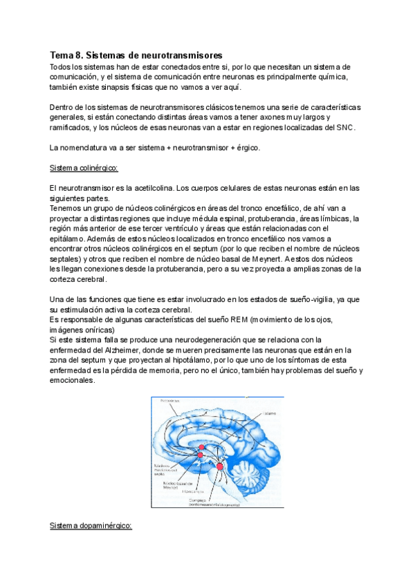 Miniatura del documento Tema-8.pdf