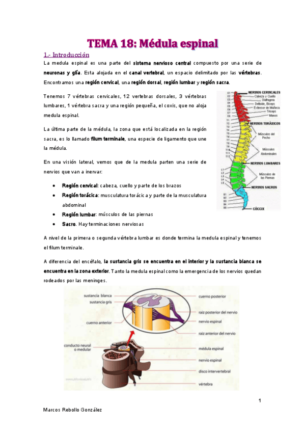 Miniatura del documento TEMA-18.pdf