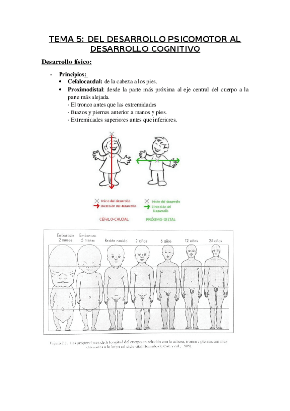 Miniatura del documento TEMA-5-desarrollo-locomotor-y-psicomotor.docx